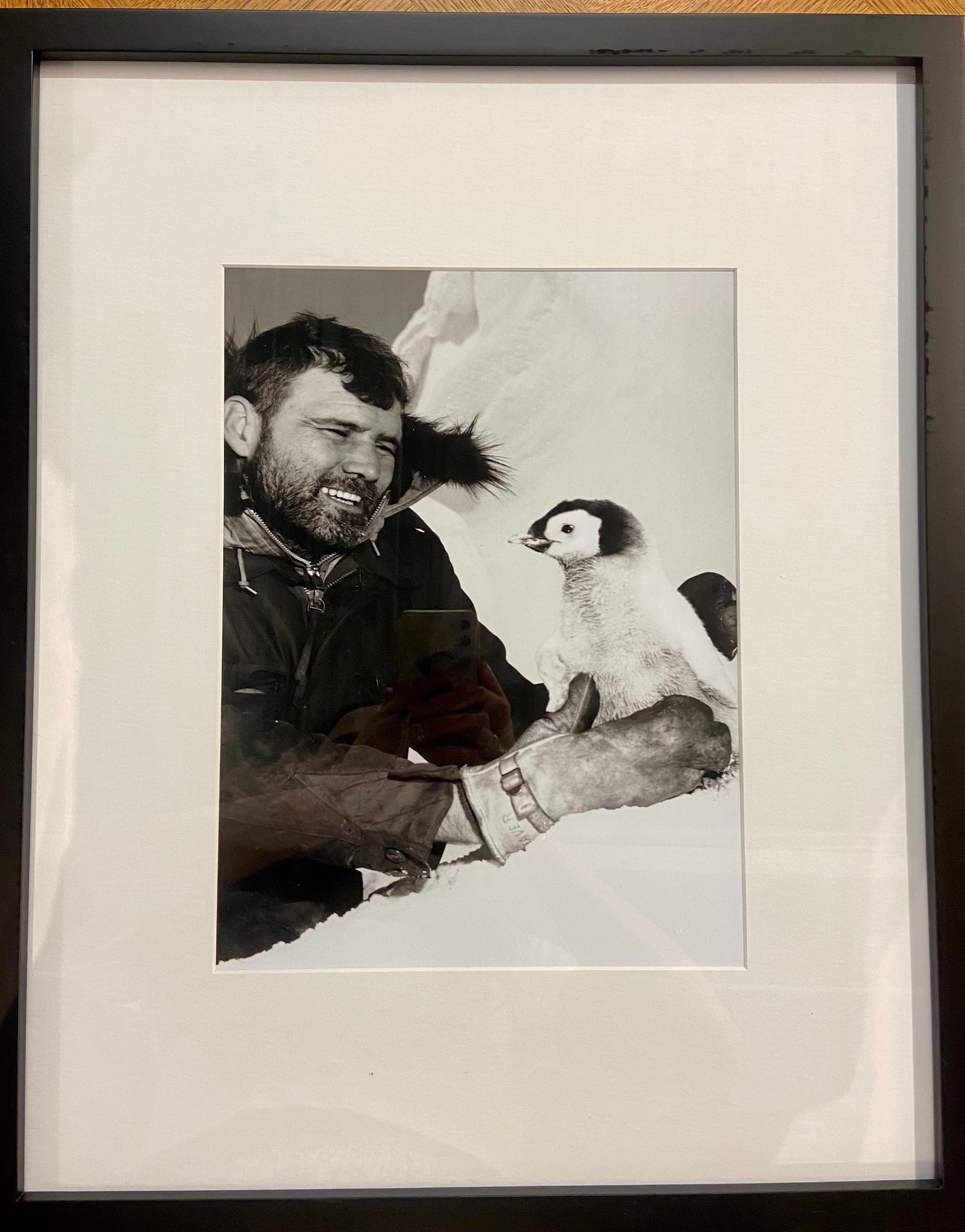 Navy Aviation Mechanic gets Acquainted with Emperor Penguin Chick
