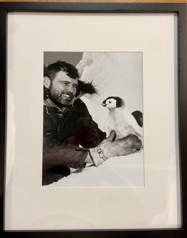 Navy Aviation Mechanic gets Acquainted with Emperor Penguin Chick